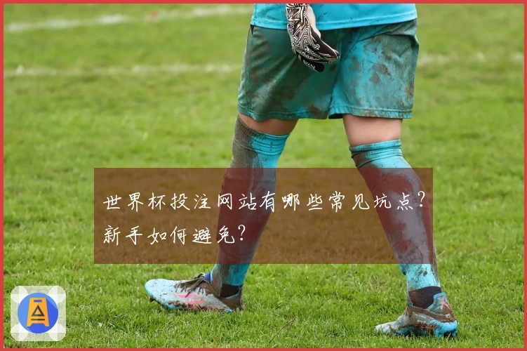 世界杯投注网站有哪些常见坑点？新手如何避免？