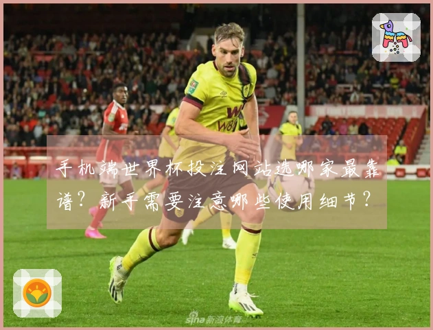 手机端世界杯投注网站选哪家最靠谱？新手需要注意哪些使用细节？