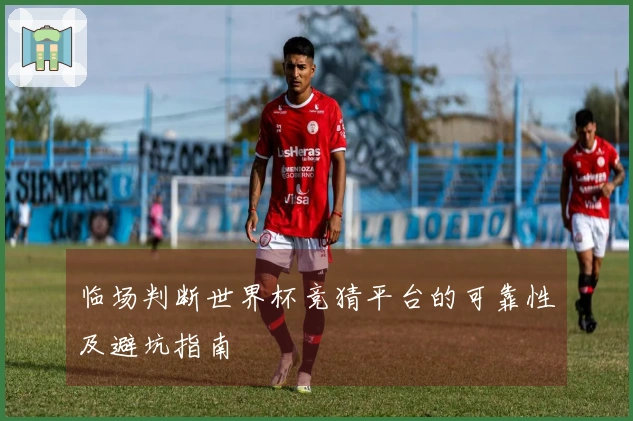 临场判断世界杯竞猜平台的可靠性及避坑指南