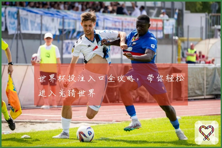 世界杯投注入口全攻略，带你轻松进入竞猜世界