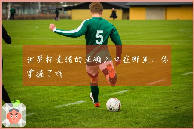 世界杯竞猜的正确入口在哪里，你掌握了吗