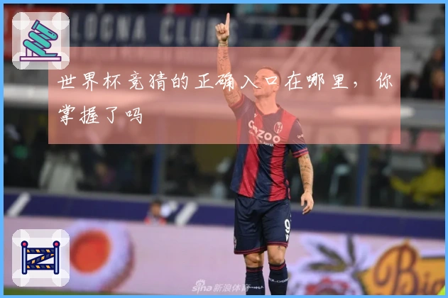 世界杯竞猜的正确入口在哪里，你掌握了吗
